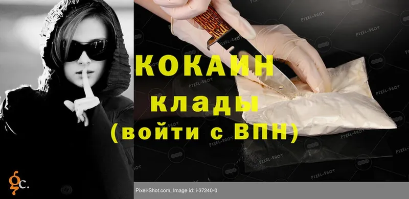 Cocaine FishScale  где купить наркоту  Борзя 