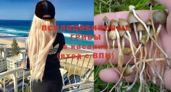 прущие крисы Нея