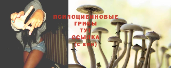 хмурый Наволоки