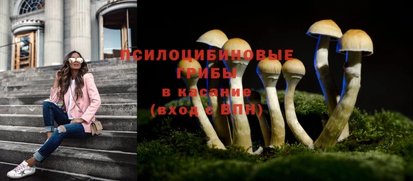 хмурый Наволоки