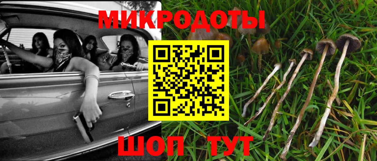 Борзя  Галлюциногенные грибы мицелий  Вход с VPN  Галлюциногенные грибы Cubensis 
