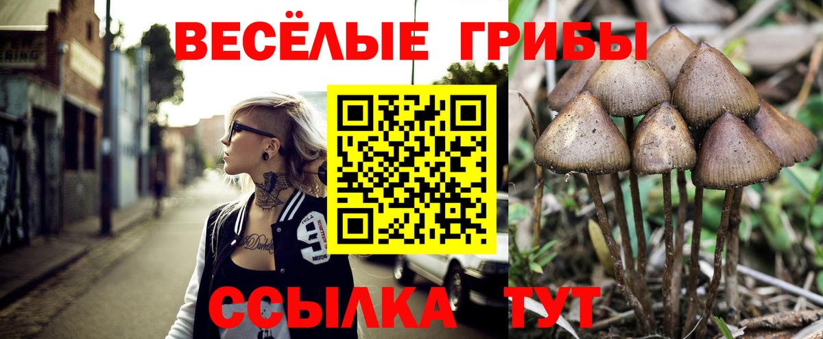 Псилоцибиновые грибы Cubensis  где можно купить наркотик  Борзя  Галлюциногенные грибы мицелий 