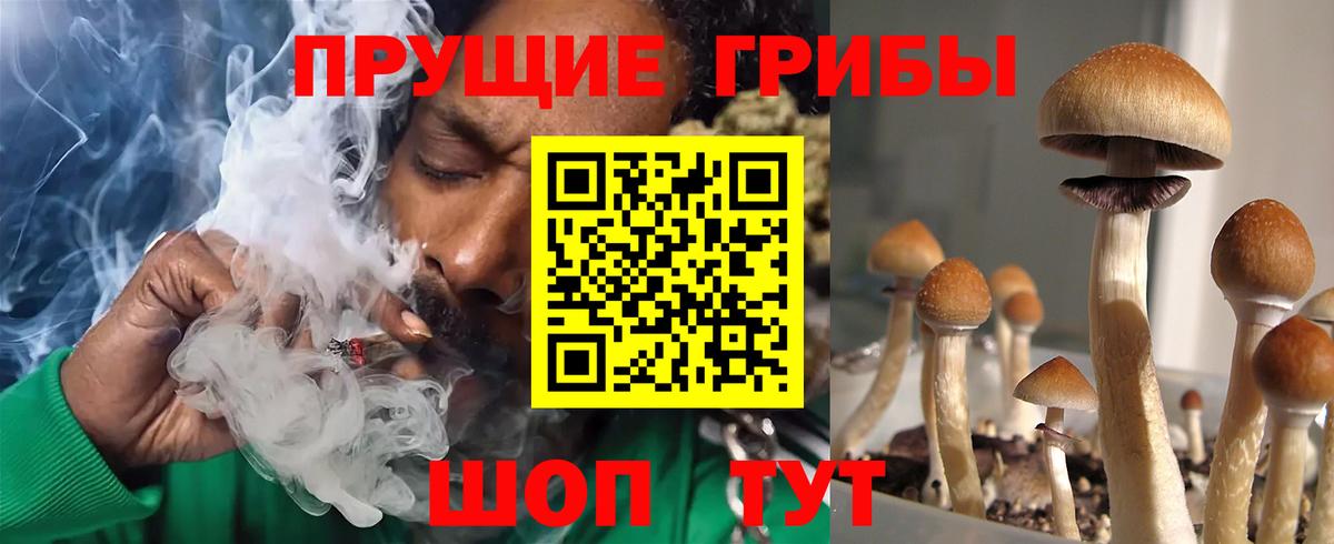 Псилоцибиновые грибы MAGIC MUSHROOMS Борзя