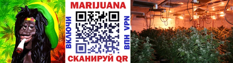Каннабис ГИДРОПОН Борзя