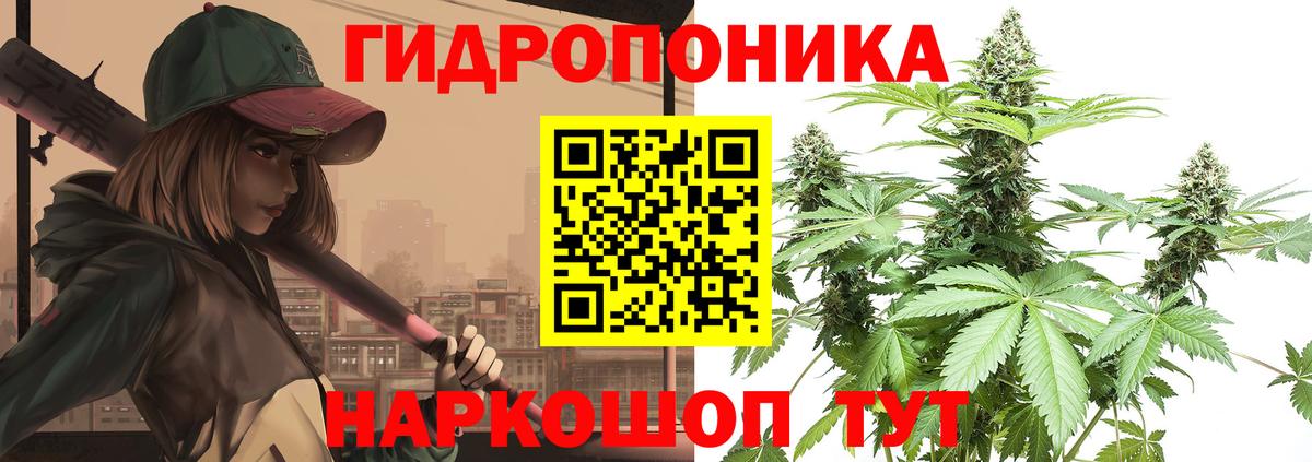 МАРИХУАНА Amnesia Борзя